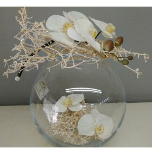 orchideje ve skle